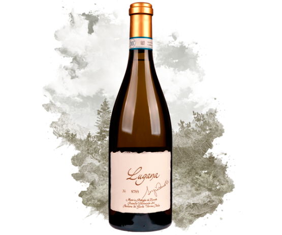 Zenato Lugana Riserva Seleccion Sergio